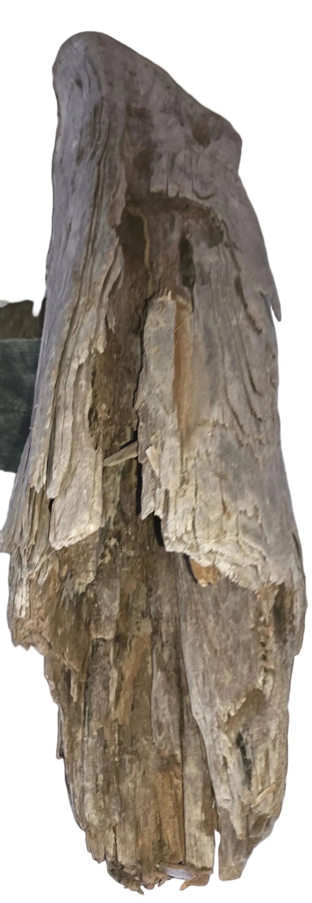 Aquarium Description