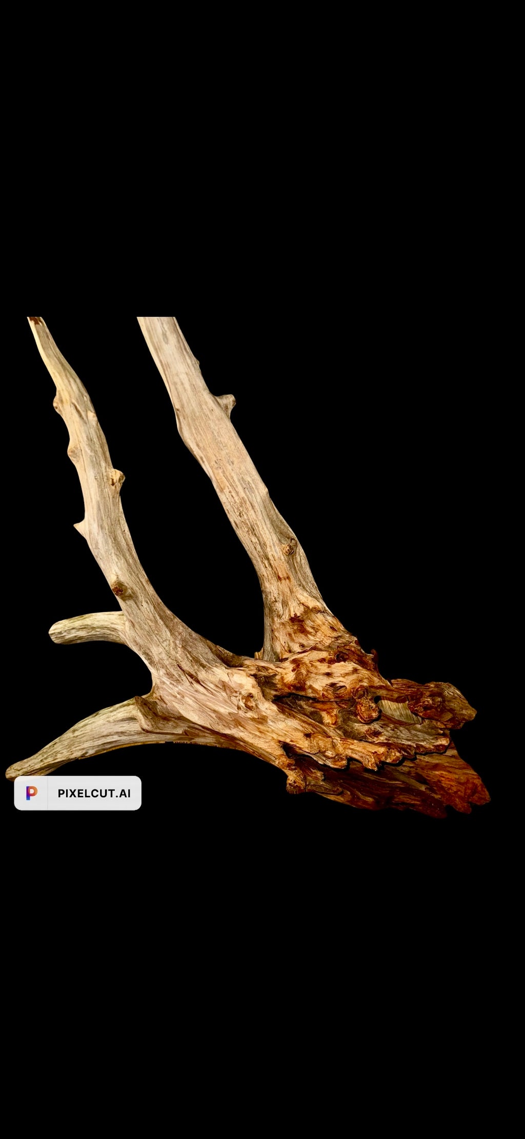 One-of-a-Kind Sculptural Driftwood Statement Piece