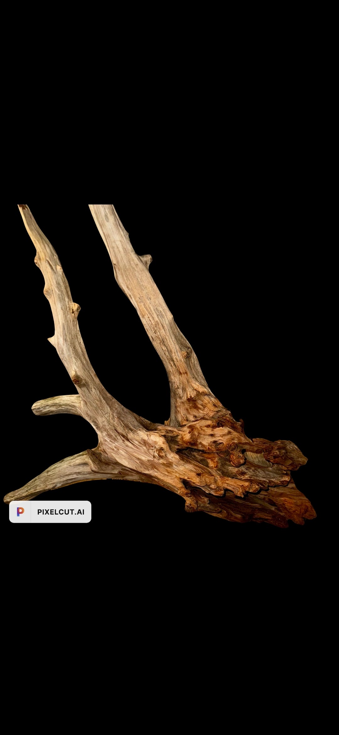 One-of-a-Kind Sculptural Driftwood Statement Piece