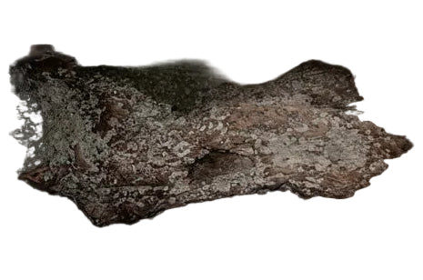 Natural Driftwood — Unique Textured Bark Piece for Aquarium, Terrariums, or Craft Decor