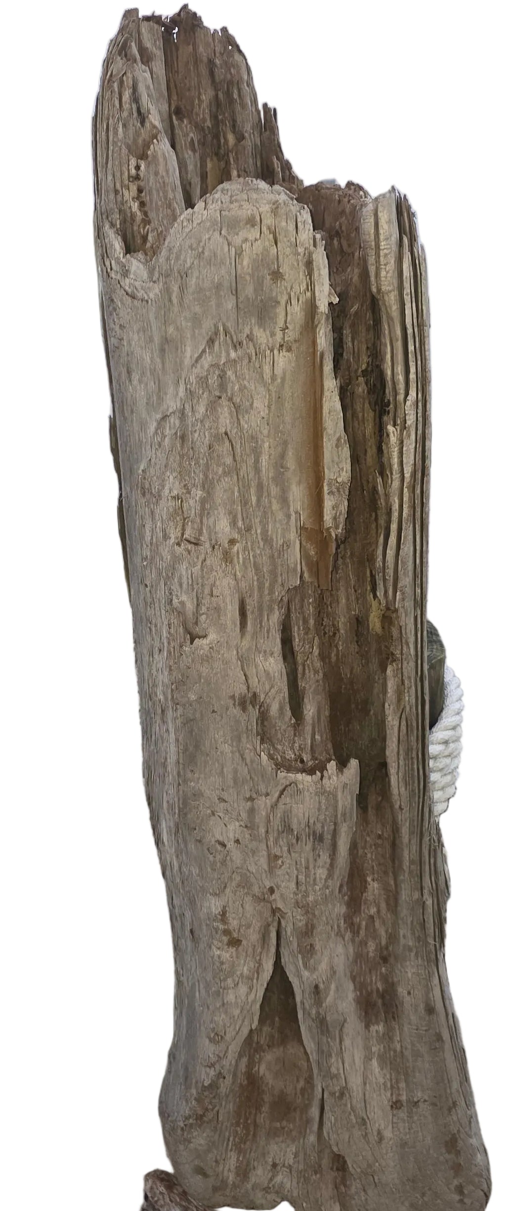 Aquarium Description