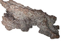 Natural Driftwood — Unique Textured Bark Piece for Aquarium, Terrariums, or Craft Decor
