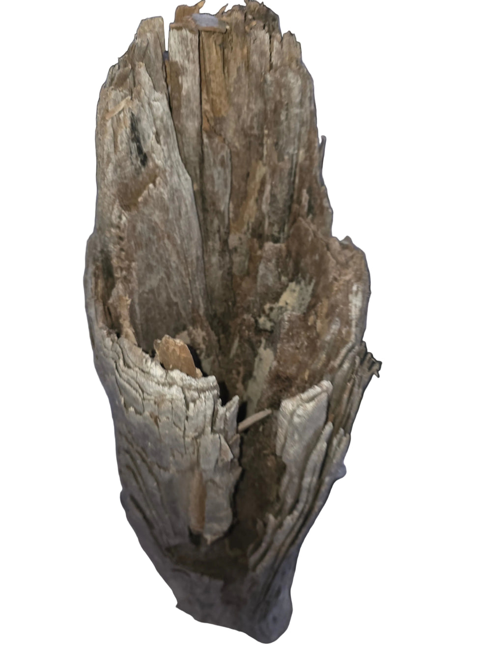 Aquarium Description