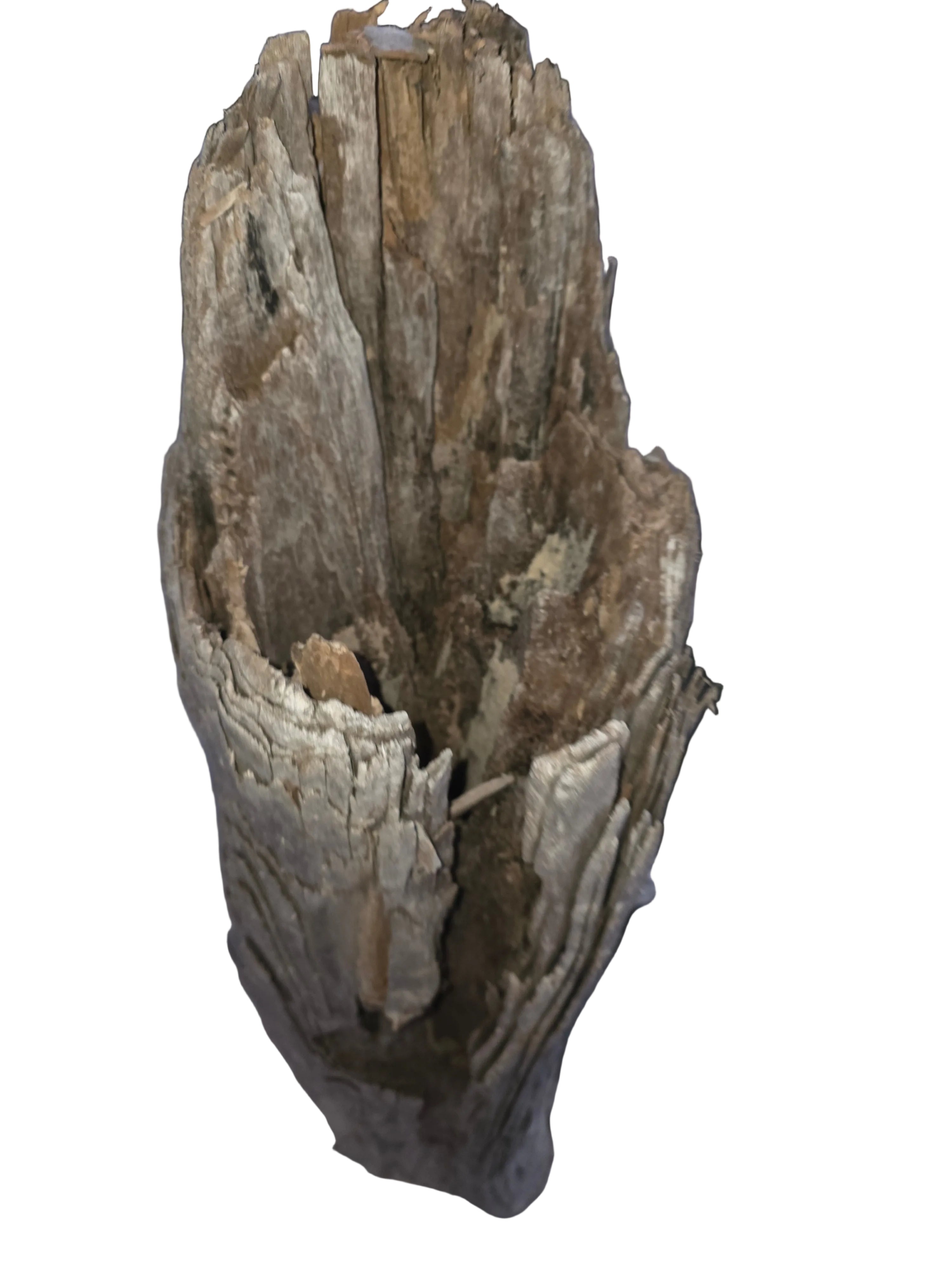 Aquarium Description