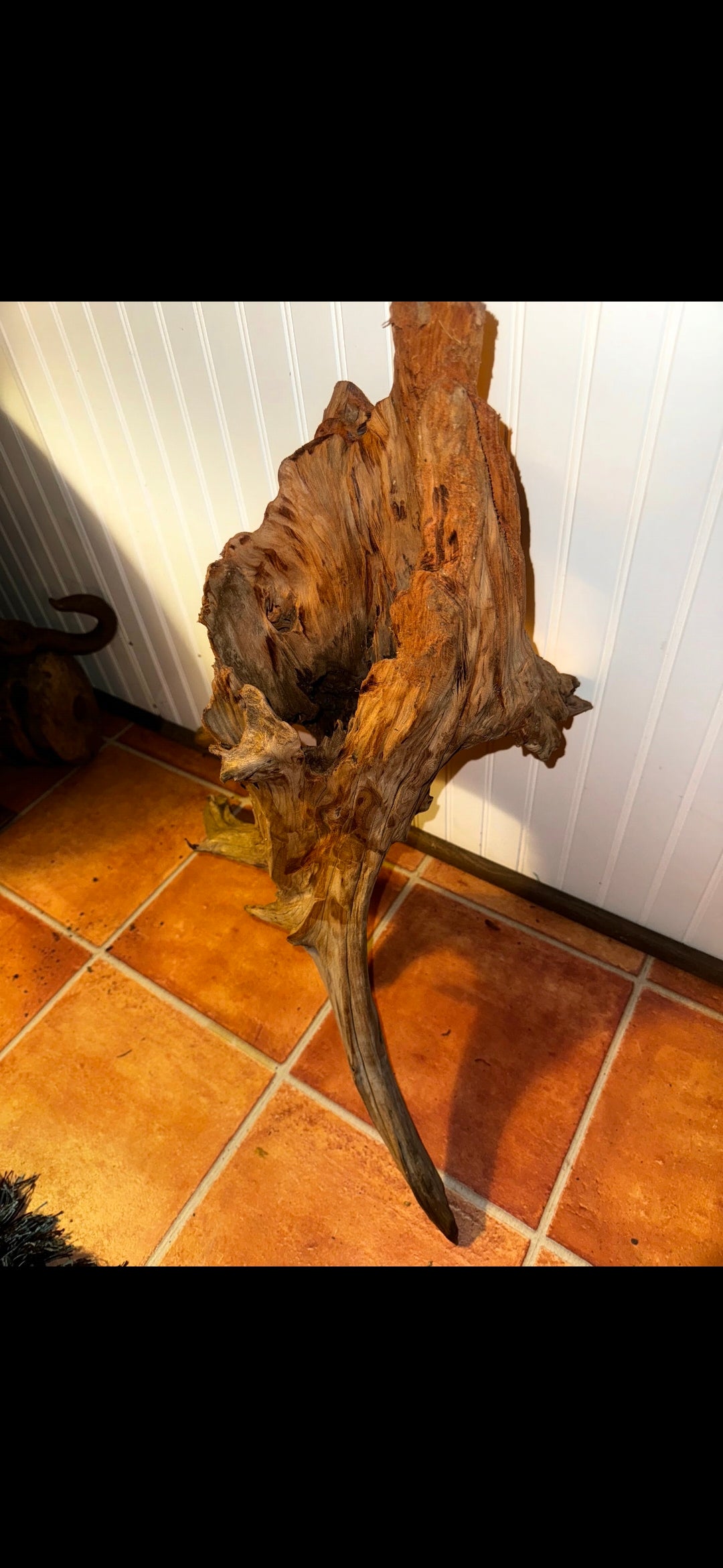 One-of-a-Kind Sculptural Driftwood Statement Piece